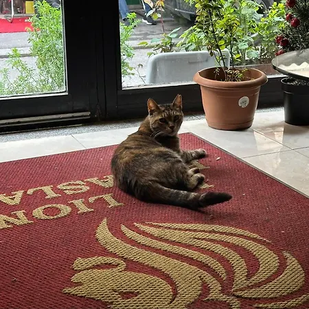 Ξενοδοχείο Mr Lion Kumkapi *