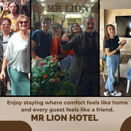 Mr Lion Kumkapi Κωνσταντινούπολη
