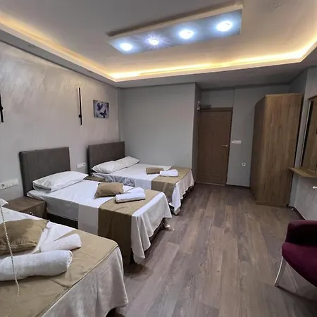 Hotel Mr Lion Kumkapi *