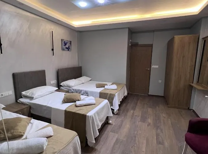 Hotel Mr Lion Kumkapi *