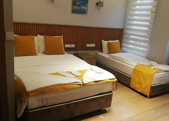 Mr Lion Kumkapi Hotel *