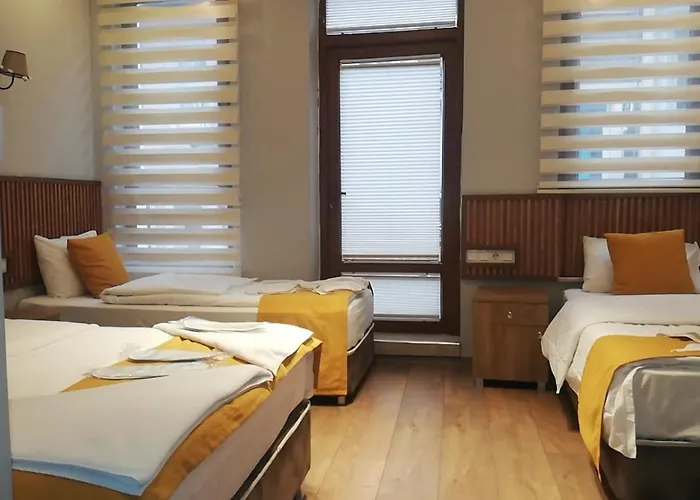 Hotel Mr Lion Kumkapi