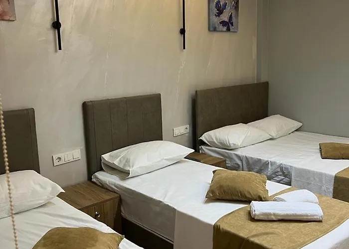 Hotel Mr Lion Kumkapi *