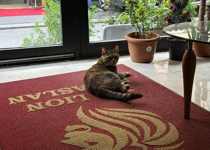 Hotel Mr Lion Kumkapi *