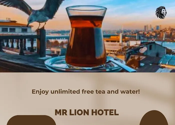 Hotel Mr Lion Kumkapi