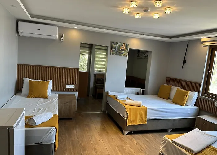 Hotel Mr Lion Kumkapi Istanbul