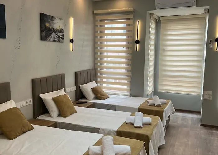 Hotel Mr Lion Kumkapi *