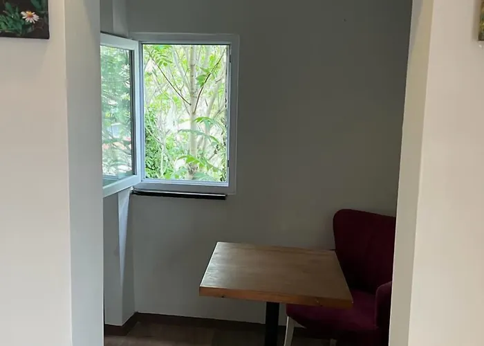 Mr Lion Kumkapi Istanbul