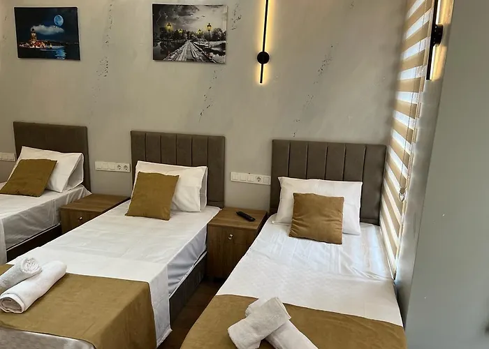 Hotel Mr Lion Kumkapi *