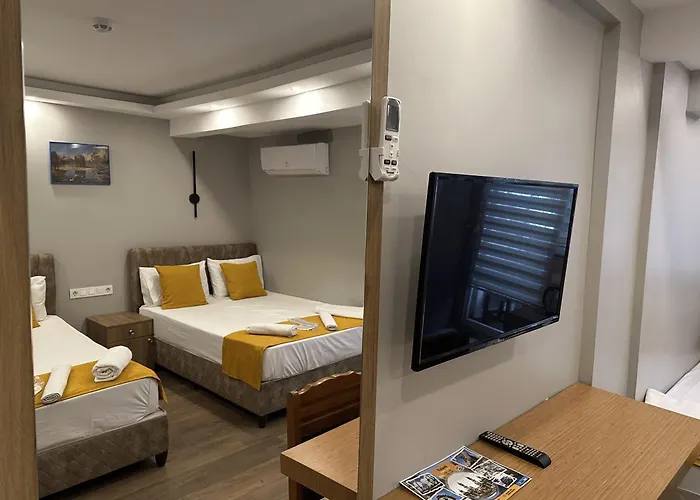 Mr Lion Kumkapi فندق