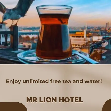 호텔 Mr Lion Kumkapi