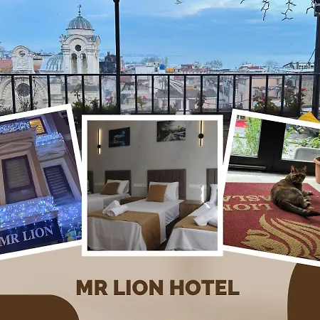 Mr Lion Kumkapi 호텔 이스탄불
