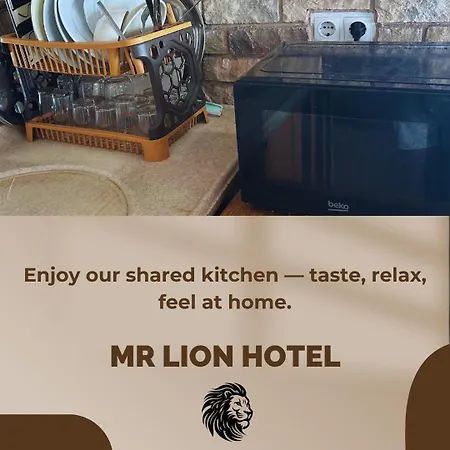 Mr Lion Kumkapi * 이스탄불